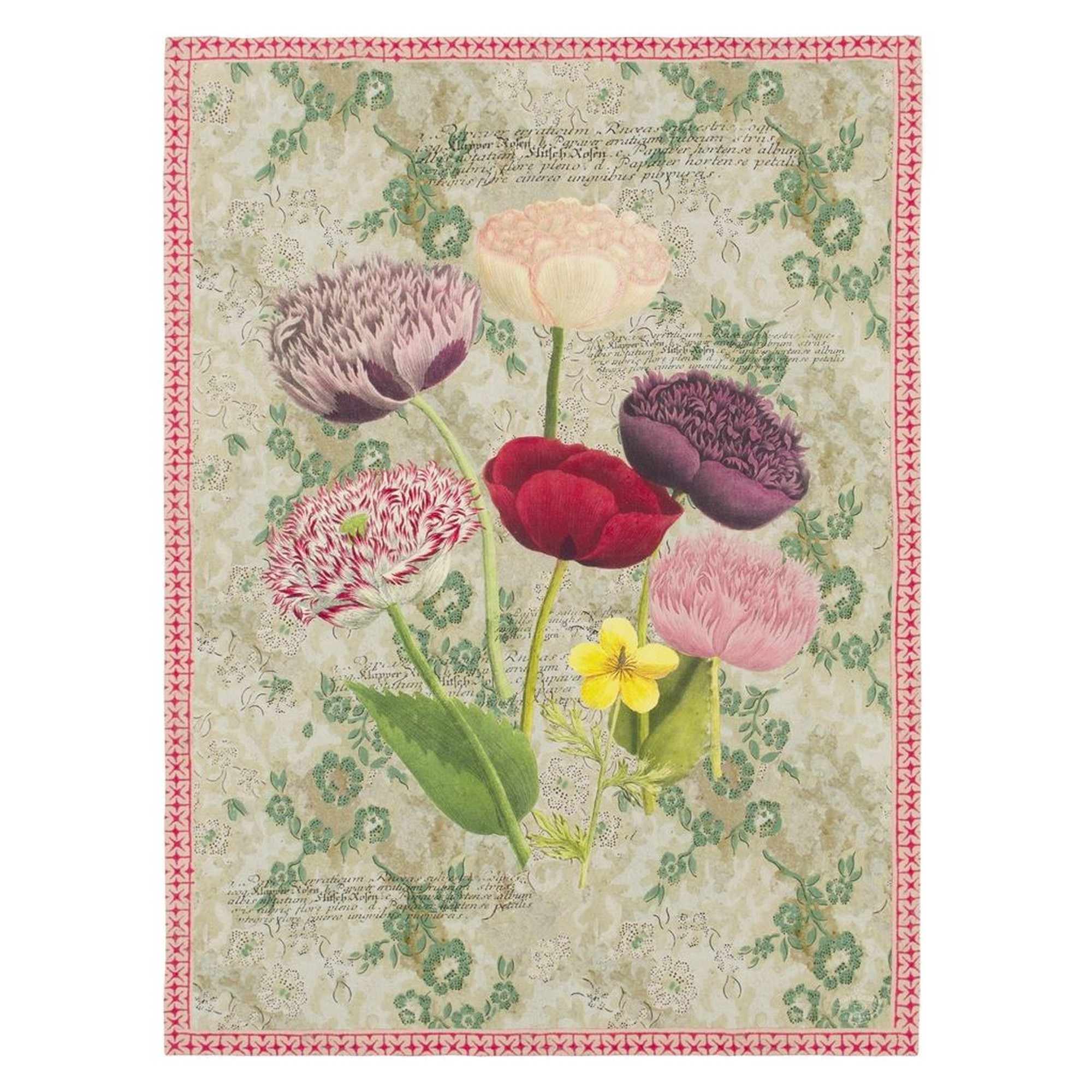 Poppy Study Throw By John Derian In Violet Purple